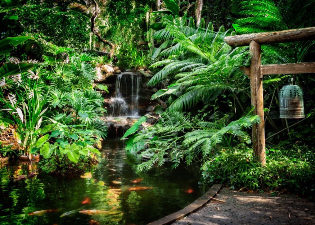 #2. Ridge Wood Heights, Florida